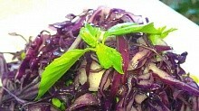 Рецепт - Салат из синей капусты