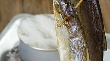 Рецепт - Сушеная корюшка и другая мелкая рыба