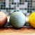 Природные красители для покраски яиц на пасху