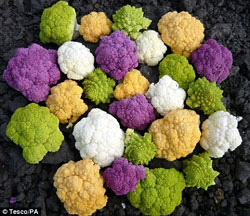 cauliflower