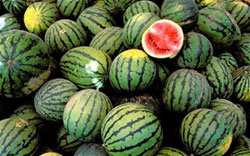 watermellon