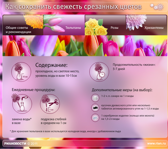 Как дольше сохранить цветы тюльпаны. Памятка для срезанных цветов. Рекомендации по уходу за срезанными цветами. Памятка ухода за букетом. Памятка для цветов.