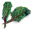 мангольд мангольд