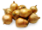 луковицы