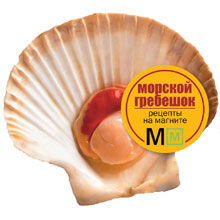 Морской гребешок