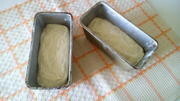 Приготовление блюда по рецепту - Кукурузный хлеб-микс на закваске.. Шаг 5