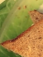 Приготовление блюда по рецепту - Сендвич с тунцом и сыром эмменталь. Шаг 1