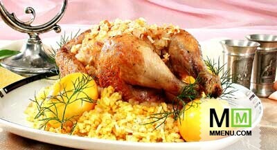 Цыплята с «золотыми» яйцами Цыплята с «золотыми» яйцами