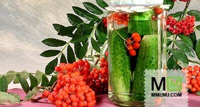 Огурцы с гроздьями рябины Огурцы с гроздьями рябины