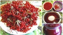 Рецепт - Калина протёртая с сахаром