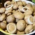 Маринованные грибы - рецепт от Оксаны