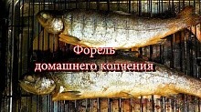 Рецепт - Форель домашнего копчения