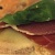 Сендвич с ветчиной, дыней и зеленым базиликом