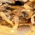 Печень с грибами (2)