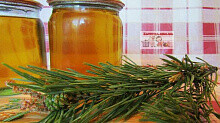 Рецепт - Сосновый сироп (сосновый мёд) из побегов сосны