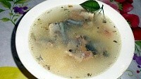 Быстрый и простой рецепт приготовления вкусного супа из консервы