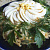 Слоеный салат «Ромашка» с ветчиной и грибами