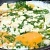 Яичница с помидорами и сыром