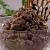 Мусс шоколадно-мандариновый