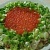 Праздничный салат "Императрица" с зелёным луком.