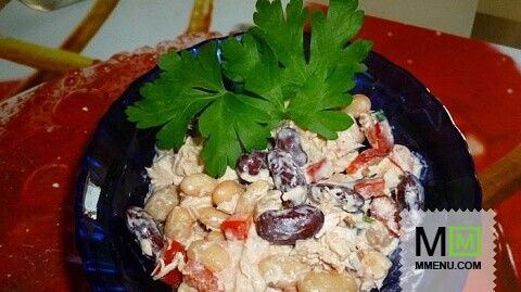 Мексиканский салат с соусом сальса Мексиканский салат с соусом сальса