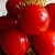 Маринованные помидоры (сладкие)