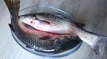 Рецепт - Как быстро и просто почистить рыбу и не испачкать кухню!